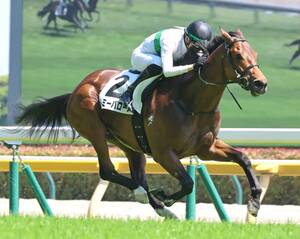 日本ダービー】福永祐一、史上3人目の連覇 シャフリヤール10センチ