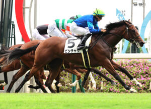 中京３Ｒ２歳新馬で差し切った岩田望来騎手騎乗のビンチャリ（手前、カメラ・高橋　由二）