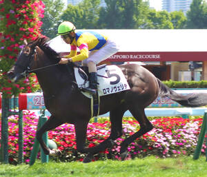 ２歳未勝利で初勝利を挙げたロマノヴェリテ（カメラ・坂本　達洋）