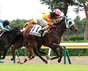 初勝利を飾ったキムケンシーサー（手前）（カメラ・荒牧　徹）