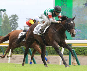 デビュー戦を勝利で飾ったエクラドリオン（手前）（カメラ・荒牧　徹）